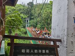 -西双版纳原始森林公园