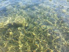 -品腐记·豆腐王朝(老门东总店)