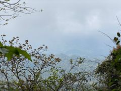 -碧峰峡风景区