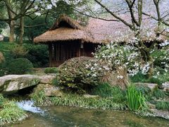 -中国茶叶博物馆(双峰馆区)
