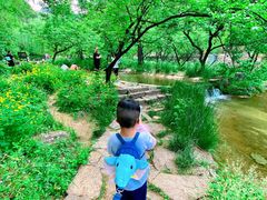 -沕沕水生态风景区