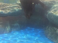 -锦艺城海洋馆