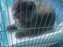 -博特宠物医院24h犬猫全科.骨科·异宠