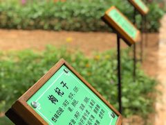 -封龙山风景区