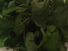 -正能量脆肉鲩火锅