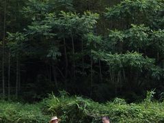 -千泷沟大瀑布旅游区
