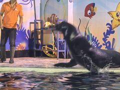 -太平洋海底世界