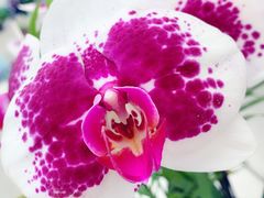 -兰陵国家农业公园