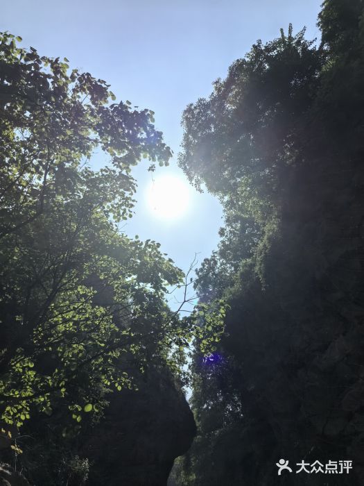 陕西省红河谷森林公园图片