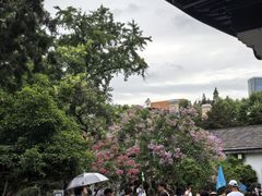 -南京中国近代史遗址博物馆(南京总统府)