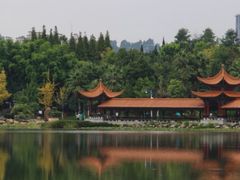 -洛龙公园