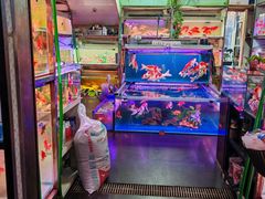 -中环花鸟鱼虫市场