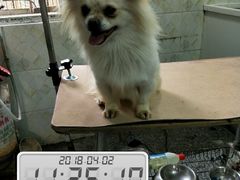 -惠宾花鸟宠物店