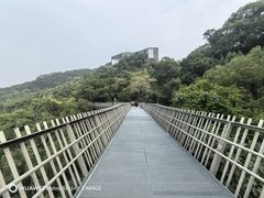 -福道