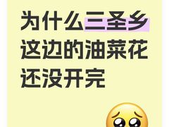 -三圣花乡旅游区