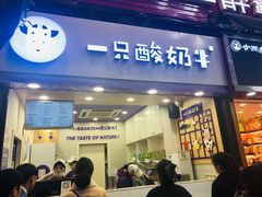 门面-一只酸奶牛(八一路店)