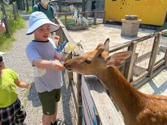 -前小桔亲子创意农场·草莓采摘·露营烧烤