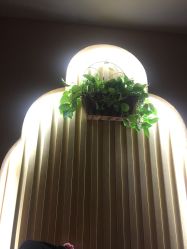 -永琪美容美发全国直营连锁