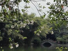 -棠湖公园