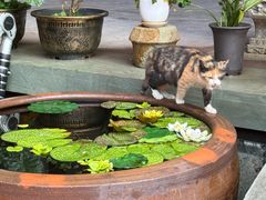 -东钱湖旅游度假区