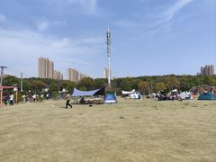 -菊园百果园