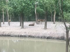 -溱湖国家湿地公园