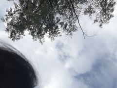 -诺亚雅思托福北郊中心(凤城路店)