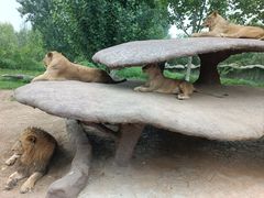 -北京野生动物园