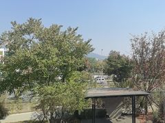 -雅苑中餐厅