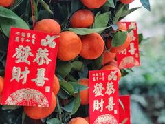 -潮府馆·非遗潮州菜·港式点心(世纪公园店)
