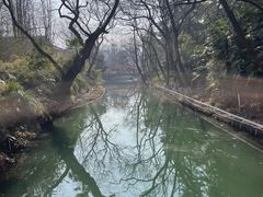 -红梅公园