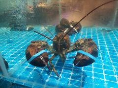 -蓝珊甄选海鲜自助·火锅大排档(近阿那亚店)