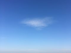 -茶颜悦色(岳麓山顶店)