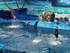 -多彩贵州城极地海洋世界