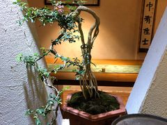 -菩提书坊(侨福大厦店)