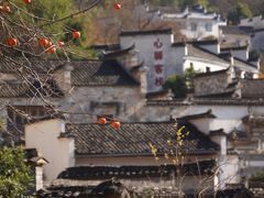 -塔川景区