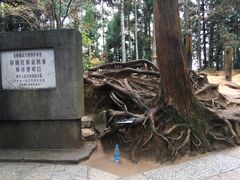 -井冈山风景名胜区-黄洋界