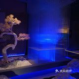 额尔敦传统涮[礼花]