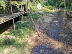 -西双版纳原始森林公园