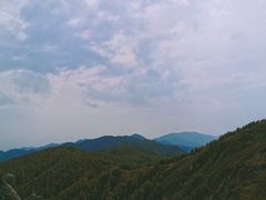 -苏木山森林公园