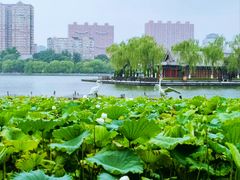 -济南大明湖景区