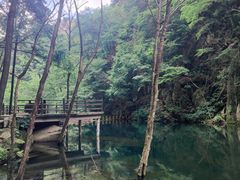 -龙峪湾国家森林公园