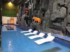 -兴芮温泉度假区