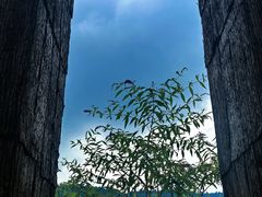 -龙苍沟森林公园