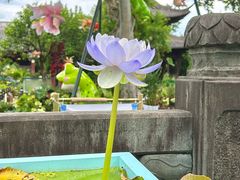 -钱王祠