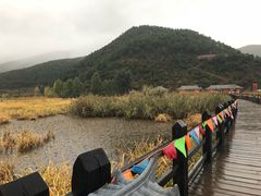 -泸沽湖国家级风景名胜区走婚桥