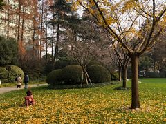 -静安公园(静安寺街道)