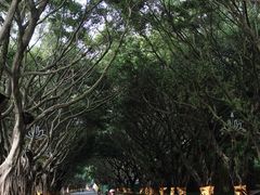 -禅驿嘉定院子-禅欢江景餐厅·中餐·户外烧烤定制(乐山大佛店)