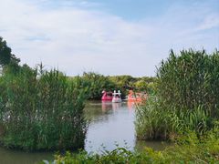-沙家浜风景区