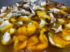 -雲蜀龙阁·金牌水煮鱼(方庄店)